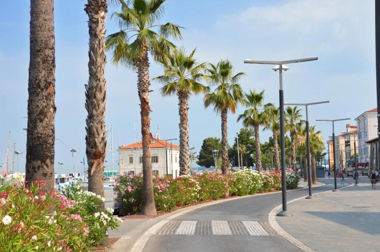 Apartma Veneziano 科佩尔 外观 照片